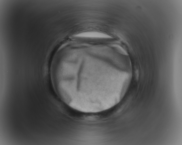 X0000088440407200706191256