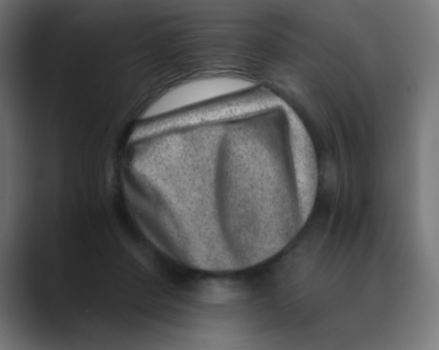 X0000088440408200706191256