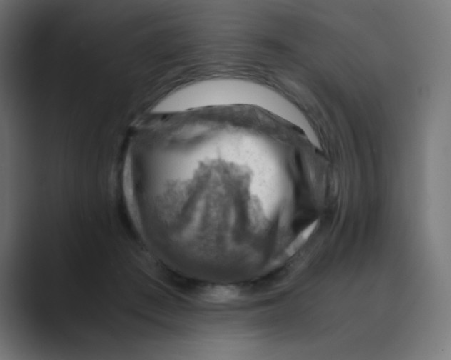 X0000088440409200706191256