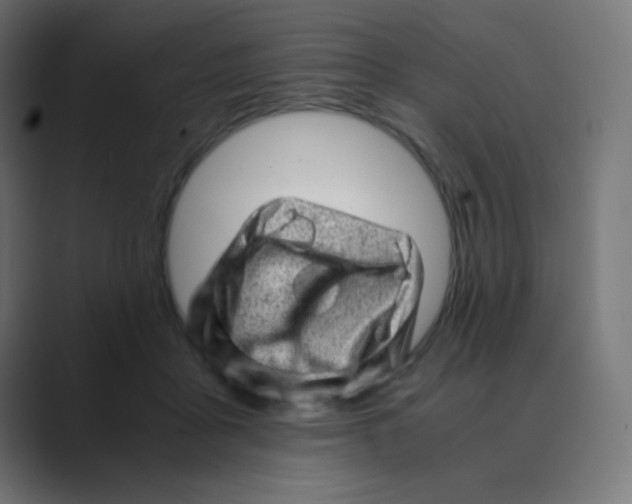 X0000088440411200706191256