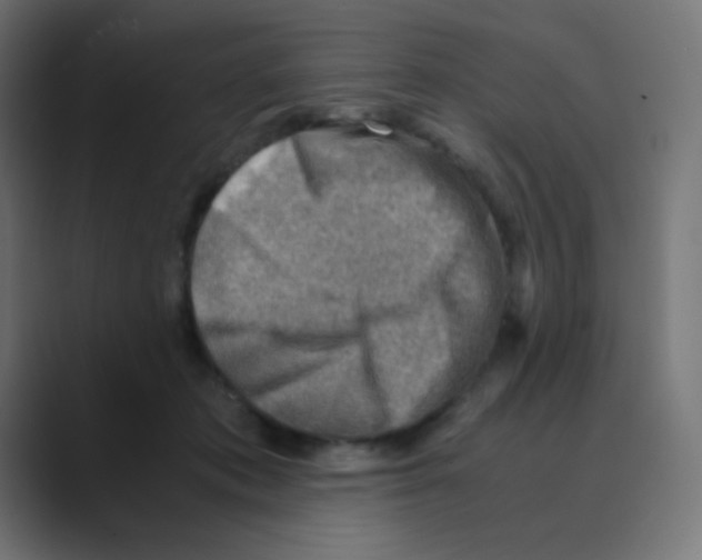 X0000088440413200706191256