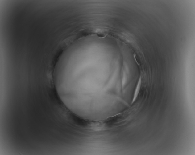 X0000088440415200706191256