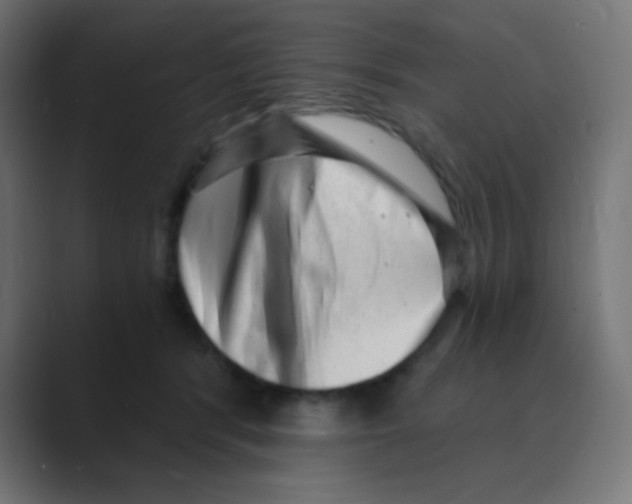 X0000088440416200706191256