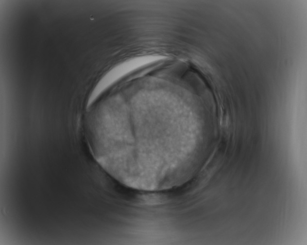 X0000088440417200706191256