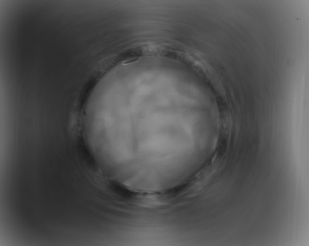 X0000088440419200706191256