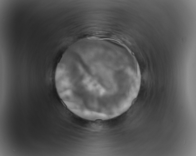 X0000088440423200706191256