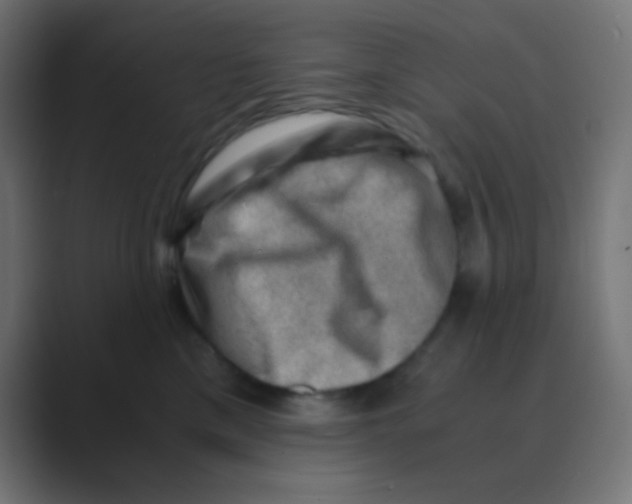 X0000088440425200706191256