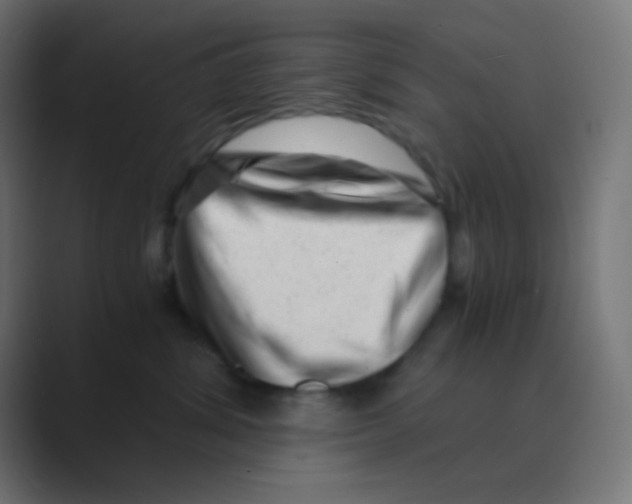 X0000088440428200706191256