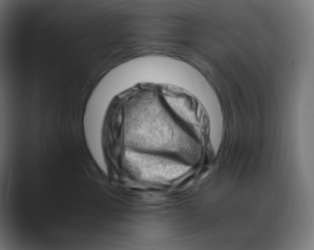 X0000088440429200706191256