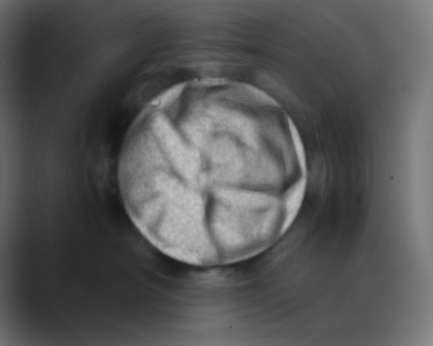 X0000088440430200706191256