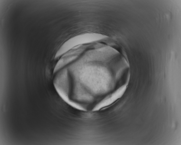 X0000088440432200706191256