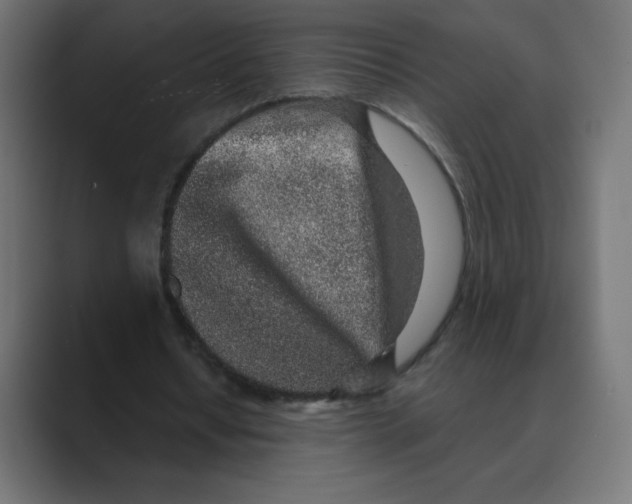 X0000088440434200706191255