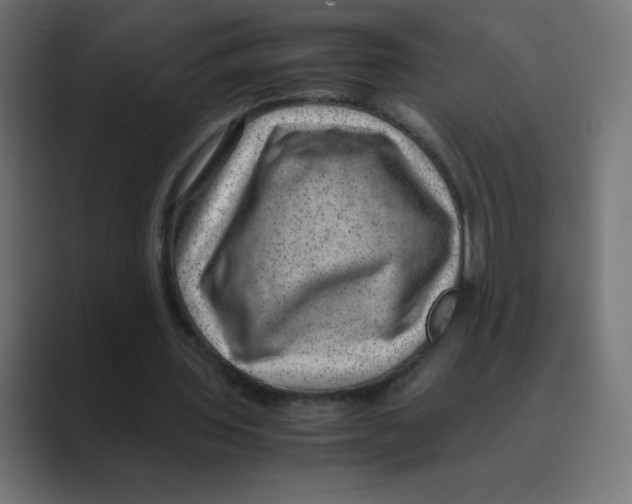 X0000088440435200706191255