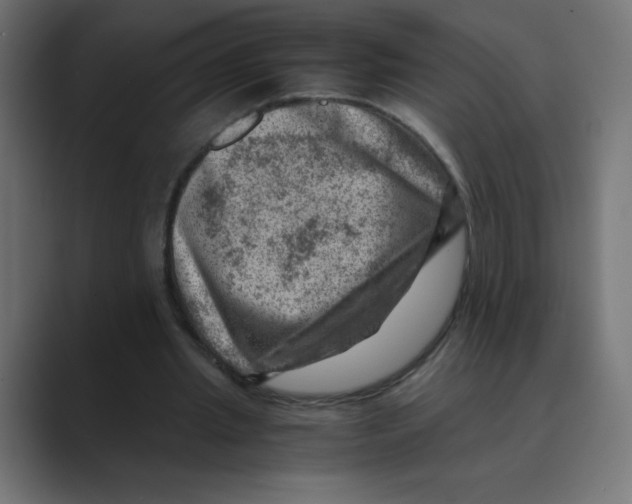 X0000088440437200706191255