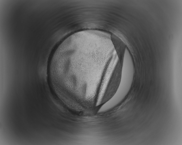 X0000088440438200706191255