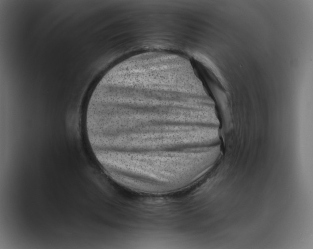 X0000088440439200706191255