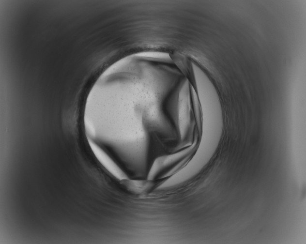 X0000088440440200706191255