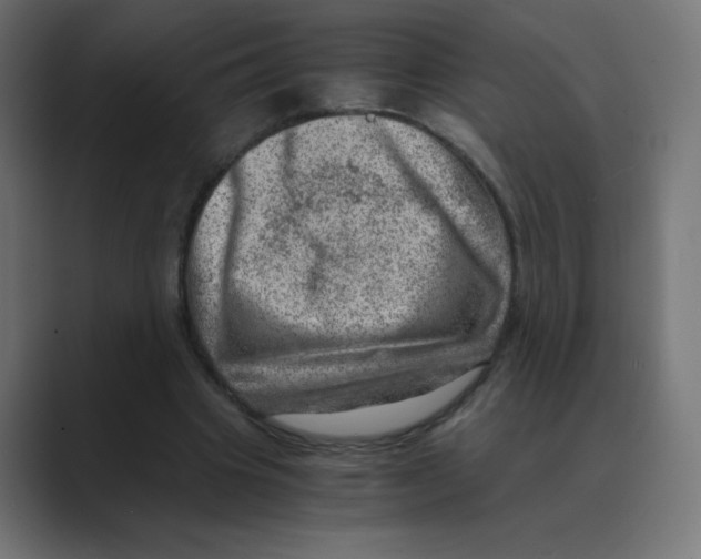 X0000088440441200706191255