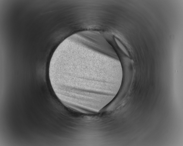 X0000088440442200706191255