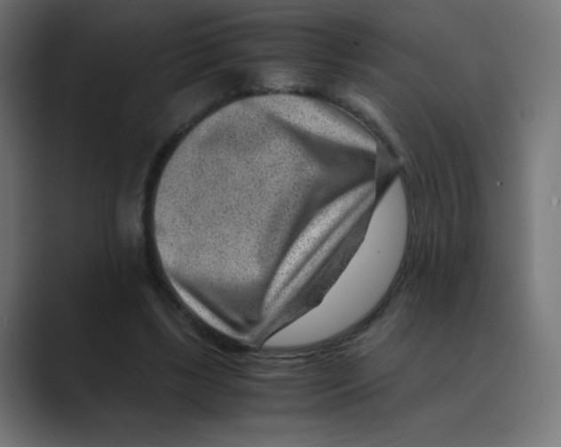 X0000088440443200706191255