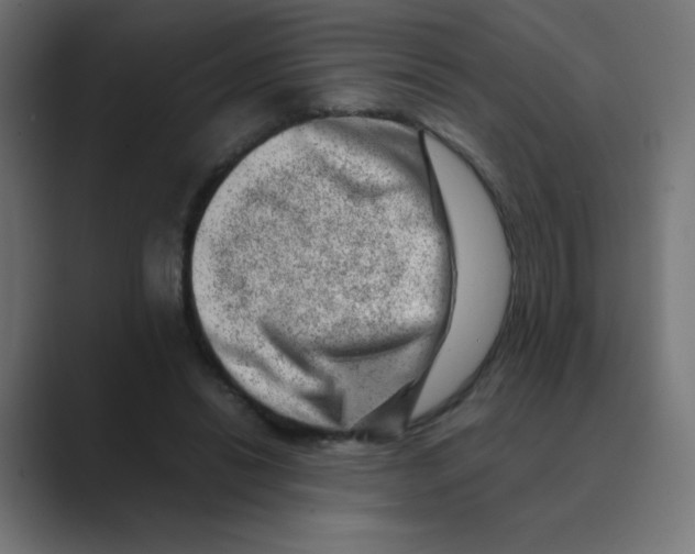 X0000088440446200706191255