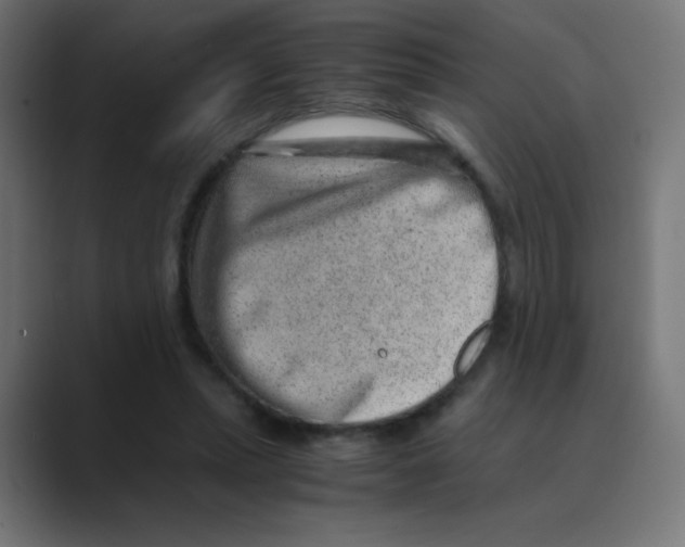 X0000088440447200706191255