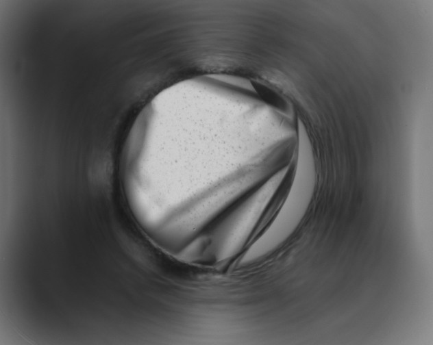 X0000088440448200706191256