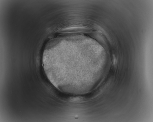 X0000088440452200706191256