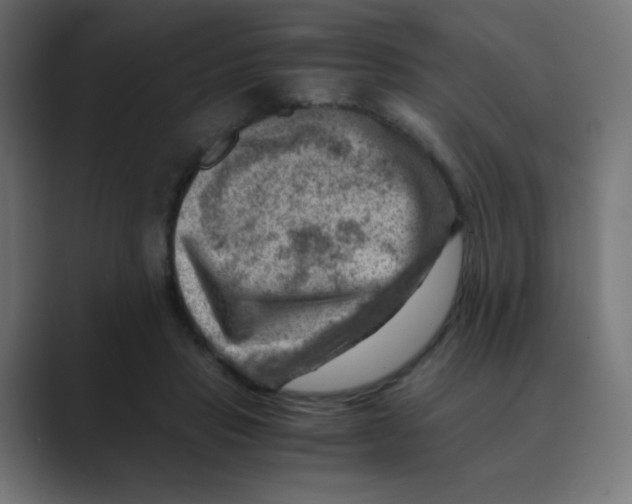 X0000088440453200706191256