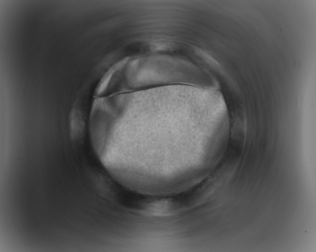 X0000088440456200706191256