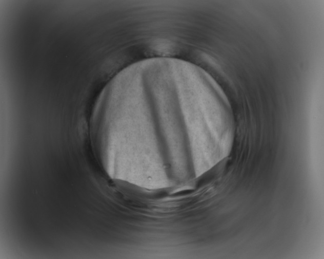 X0000088440459200706191256