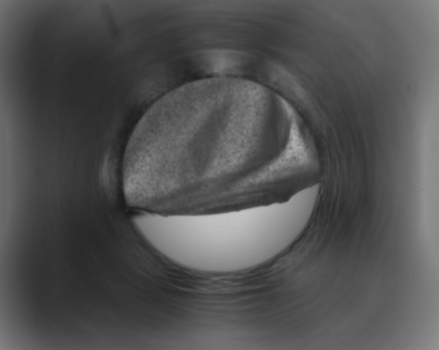 X0000088440461200706191256