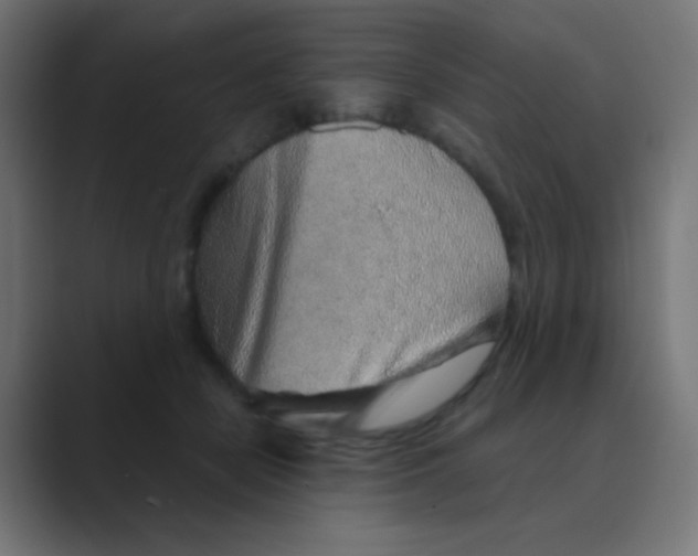 X0000088440462200706191256