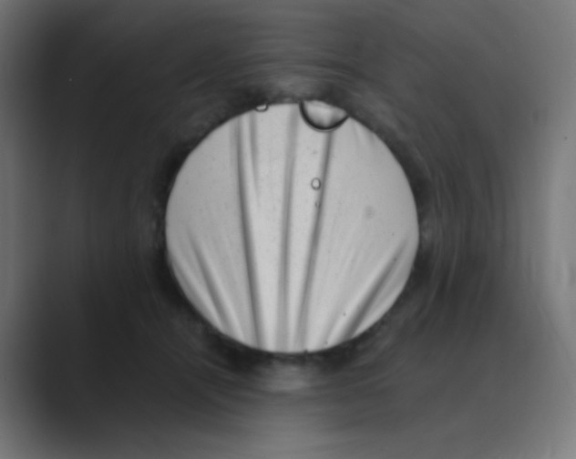 X0000088440464200706191256