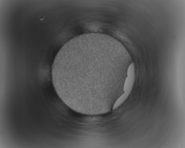 X0000088440465200706191256