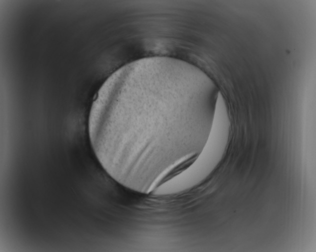 X0000088440466200706191256