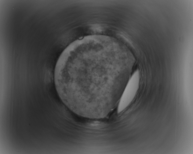 X0000088440467200706191256