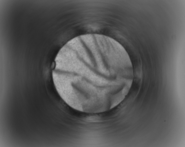 X0000088440468200706191256