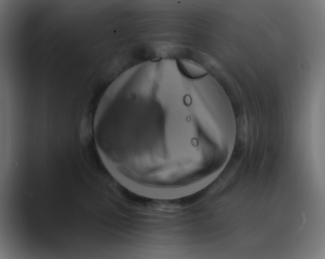 X0000088440471200706191256