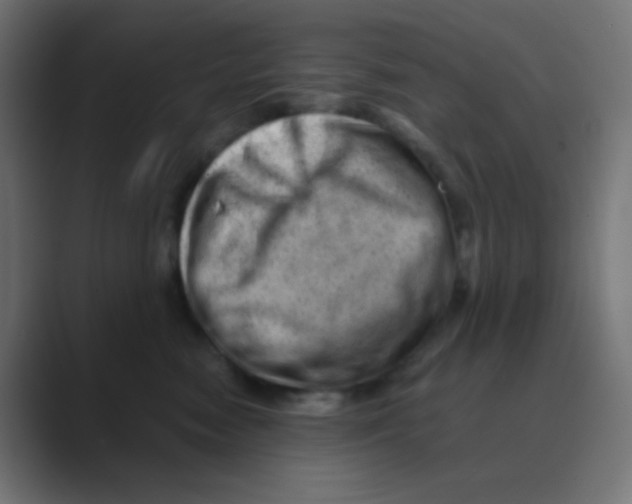 X0000088440474200706191256