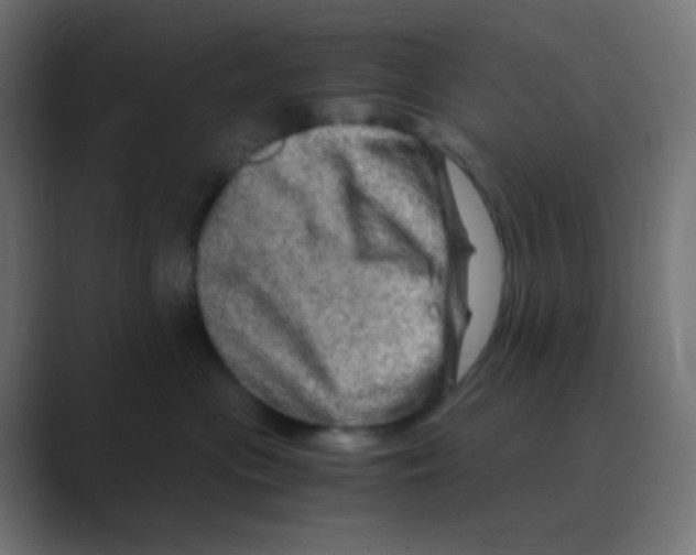 X0000088440477200706191256