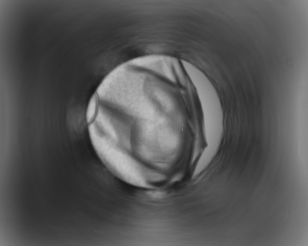 X0000088440478200706191256