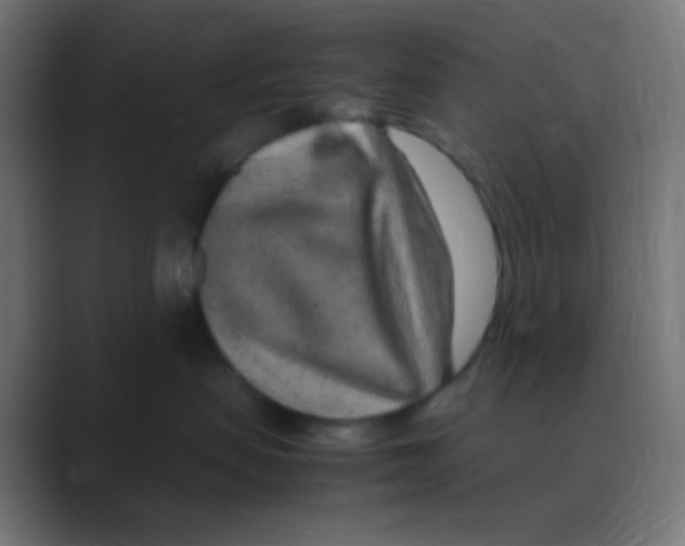 X0000088440479200706191256