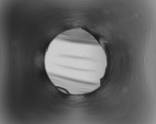 X0000088440480200706191256