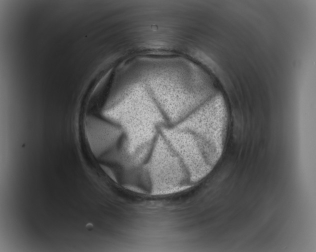 X0000088440482200706191255