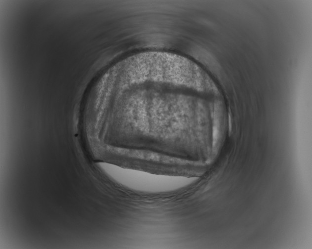 X0000088440483200706191255