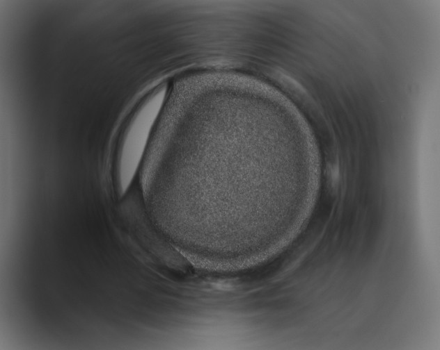 X0000088440484200706191255