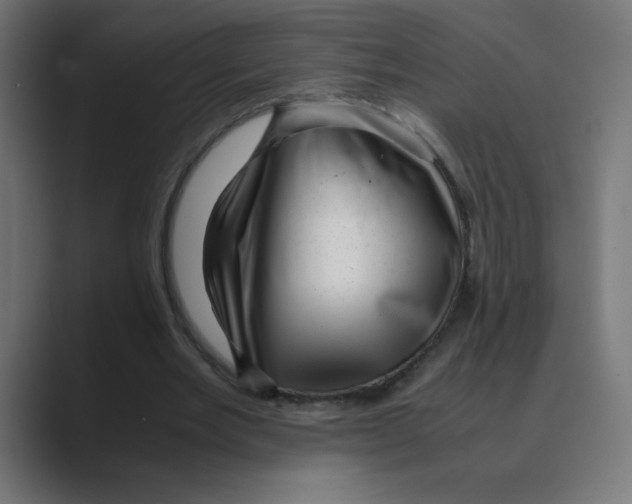 X0000088440485200706191255