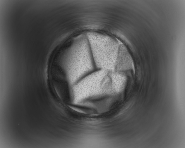 X0000088440486200706191255