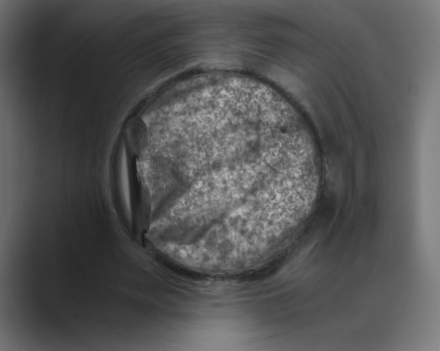 X0000088440487200706191255